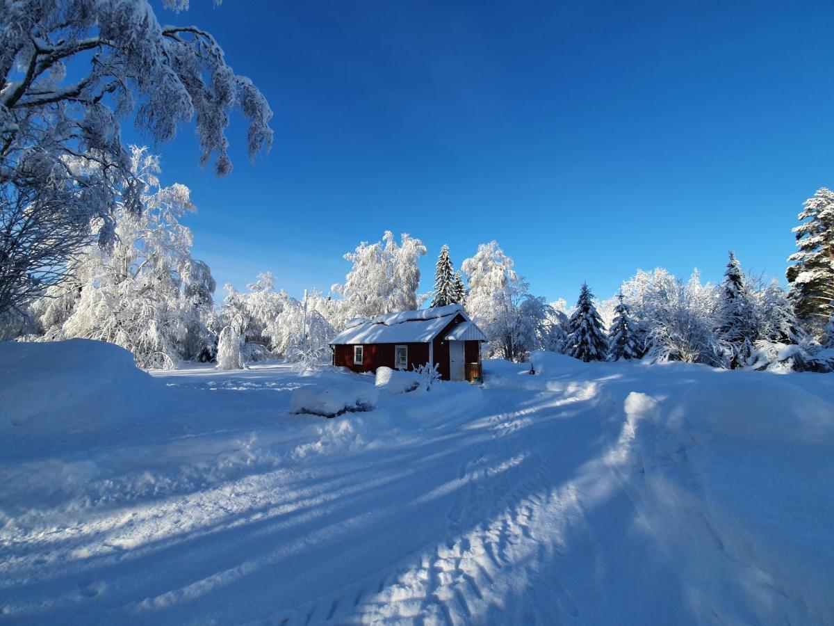 Luxury Guesthouse 'Lodge Lagom' - Hammarstrand-Jaemtland 외부 사진