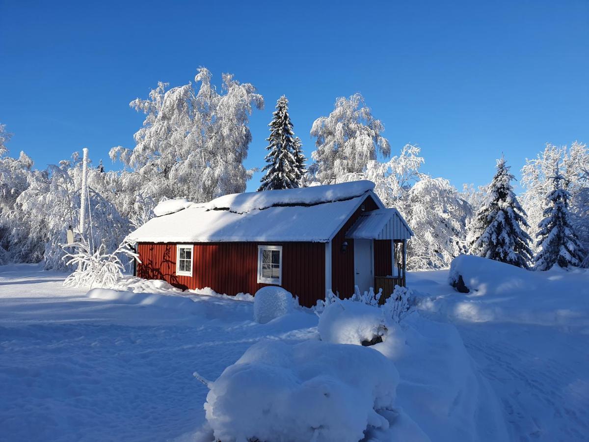 Luxury Guesthouse 'Lodge Lagom' - Hammarstrand-Jaemtland 외부 사진